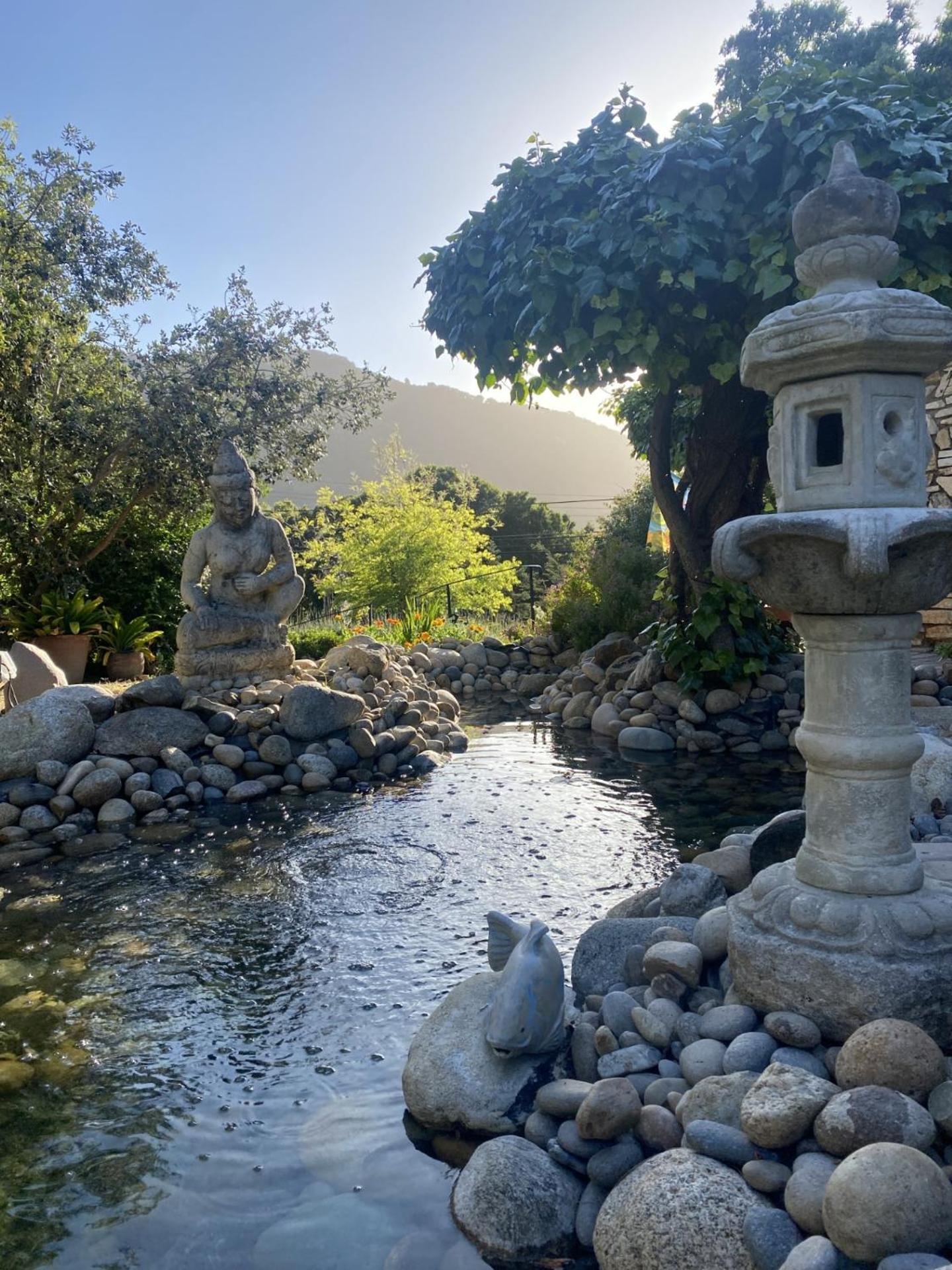 Carmel Valley Lodge Buitenkant foto