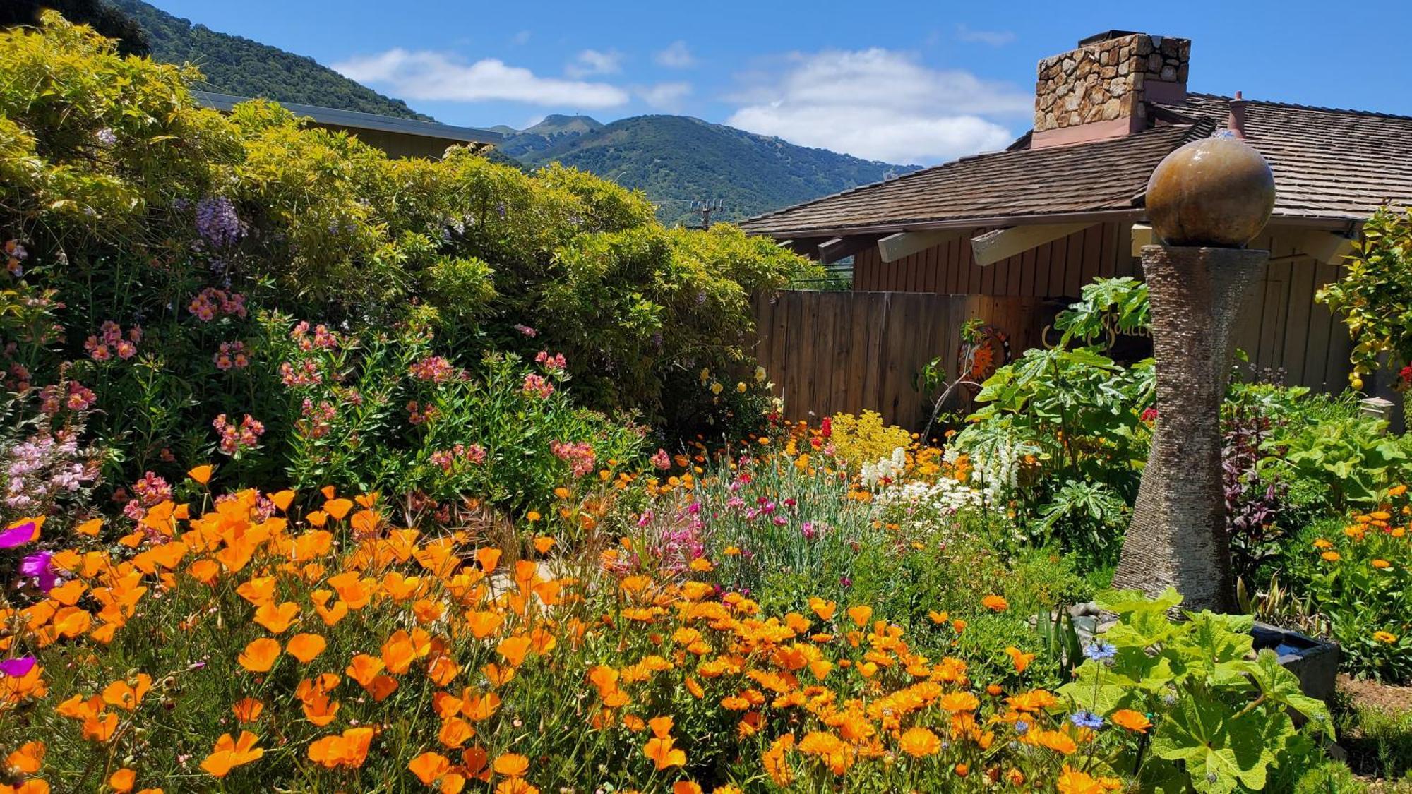 Carmel Valley Lodge Buitenkant foto