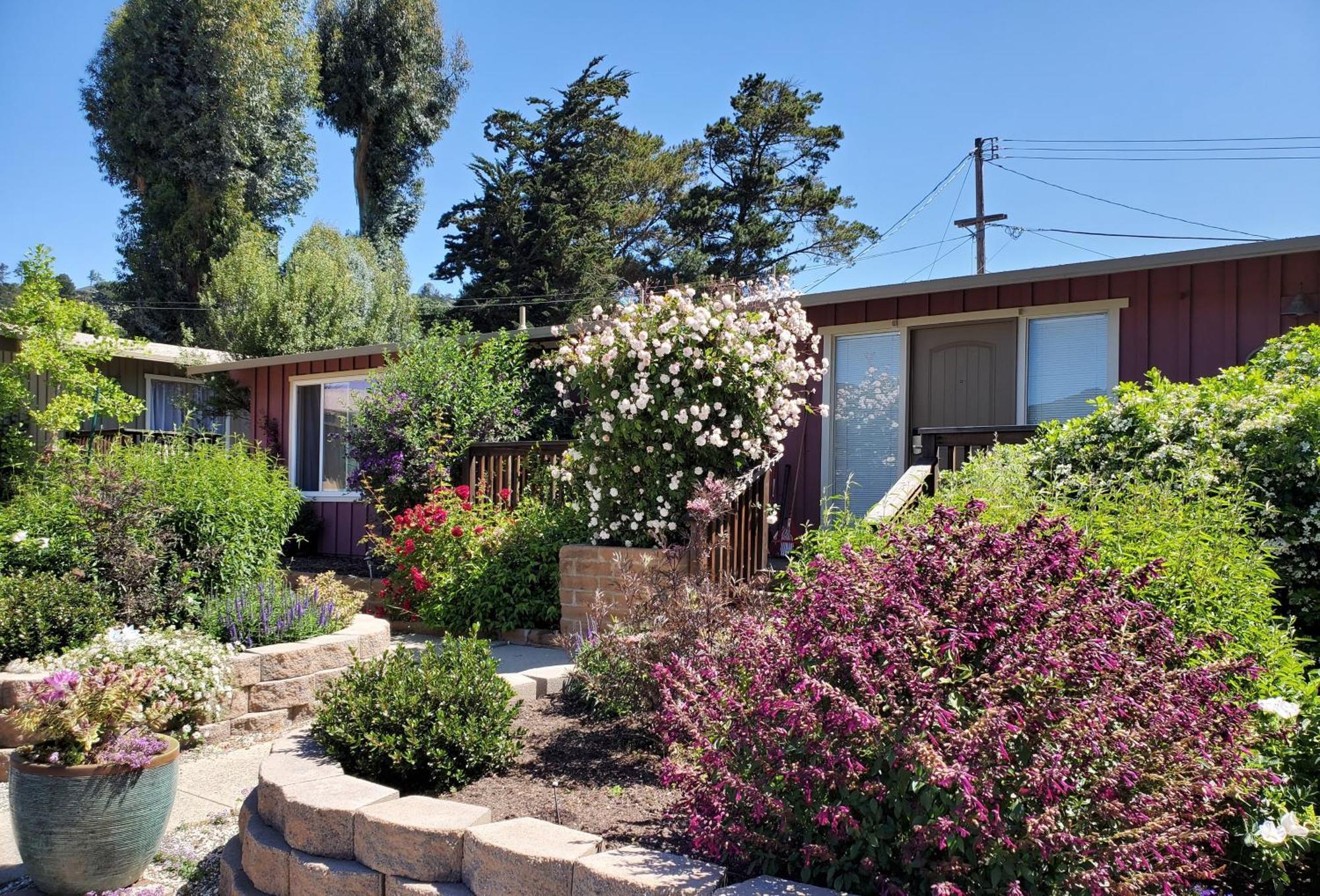 Carmel Valley Lodge Buitenkant foto